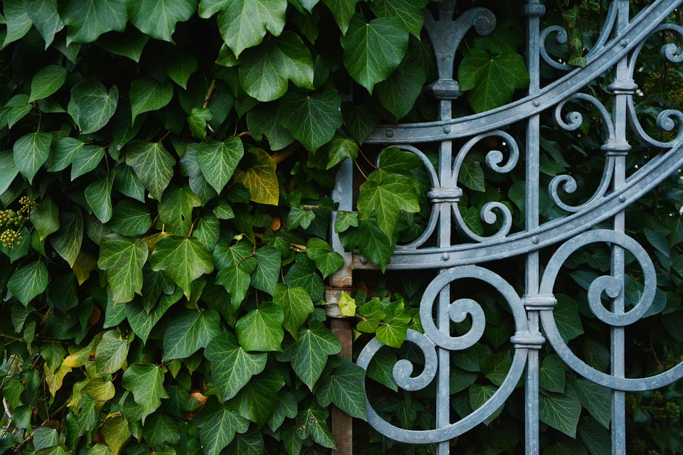Wrought Iron Fence Builder